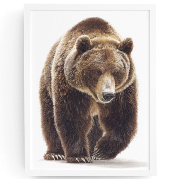 Creative Path Studios Other - Watercolor Grizzly Bear Portrait Wall Art Print Poster - Unframed Artwork